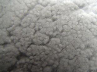 供應(yīng)天津耐火纖維,天津礦物纖維廠家_冶金礦產(chǎn)_世界工廠網(wǎng)中國(guó)產(chǎn)品信息庫(kù)